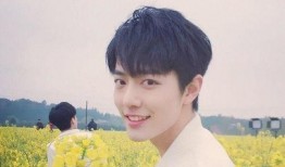 吃瓜爆料肖战恋情视频完整版,甜蜜互动引网友热议