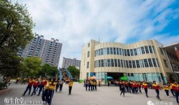 普宁职校爆料事件视频,真相与争议交织