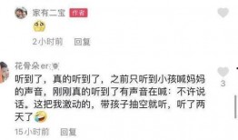 武夷山最近爆料案件最新,神秘失踪背后的惊人真相揭晓