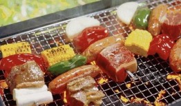 自助烧烤爆料视频教程下载,轻松掌握烧烤技巧，享受美味时光