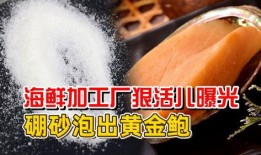 海鲜工厂爆料视频大全集,爆料视频大全集深度解析