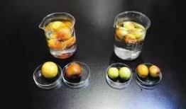 甜蜜素爆料视频,揭秘食品添加剂背后的真相