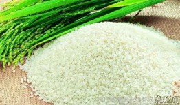 绿色大米爆料视频,视频爆料带你探秘绿色大米种植全过程