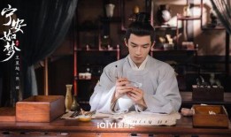 宁安如梦爆料新闻视频,揭秘新闻背后的真相