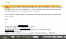 辉瑞员工爆料完整视频下载,完整内容深度解析