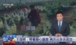 小宇家族爆料事件视频大全,揭秘家族风云录