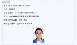 巢湖新闻爆料,揭秘当地最新事件真相