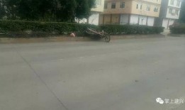 屯昌新兴镇爆料事件最新,真相揭开，村民权益引发关注