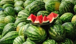 2023吃瓜网红端儿,揭秘网络红人的瓜田秘事