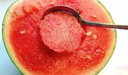 威海吃瓜网红有哪些名字