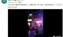 爆料车麻子视频在线观看,网络爆红视频背后的故事