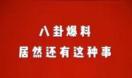 八卦娱乐爆料图文网下载,图文网下载背后的秘密大曝光！