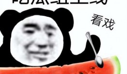 娱乐吃瓜酱读书,揭秘娱乐圈背后的故事与真相