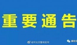 文安网友爆料新闻视频下载,文安最新新闻视频下载，揭秘事件真相