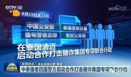 台海最新爆料新闻联播,新闻联播披露关键信息