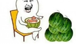 吃瓜娱乐最在行