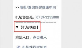 湛江今日爆料电话查询,揭秘城市热点事件