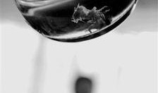 啤酒最新爆料新闻,揭秘行业最新爆料与趋势