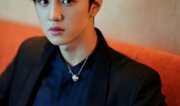 暗格娱乐八卦爆料陈哲远,暗格娱乐八卦揭秘，明星背后的故事