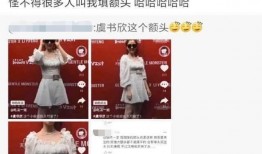 娱乐圈爆料的那本书叫啥,揭秘那本引发热议的爆料书籍