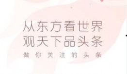 新闻素材如何爆料,揭秘新闻背后真相——深度剖析最新爆料