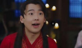 赘婿笑点爆料视频,爆笑视频背后的欢乐瞬间