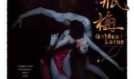 金瓶梅 高清在线观看,揭秘明代社会风情画卷