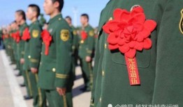 英国退役军官爆料视频大全,震撼视频大全背后的真相与内幕