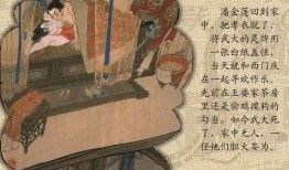 金瓶梅 高清在线观看,揭秘明代社会风情画卷