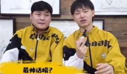 王鑫荣耀皮肤爆料视频