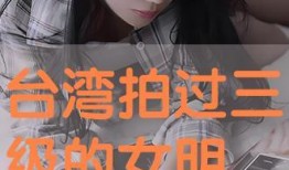 台湾三级在线 观看,一场禁忌与艺术的碰撞之旅