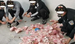 科兴员工爆料被抓视频,揭秘疫苗企业内部风波