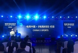 鸿毅电竞爆料最新消息视频,揭秘电竞圈幕后风云