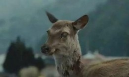 食人蝇电影在线观看,致命诱惑的生存游戏