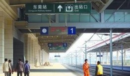 东莞火车站爆料事件视频,真相与争议交织的现场直击