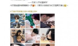 肖baby微博爆料视频,揭秘娱乐圈幕后真相