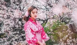 一色里樱在线观看,沉浸式视觉盛宴，揭秘日本校园青春秘境