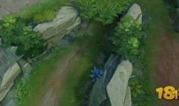 王者植物最新爆料,神秘植物登场，绿色战场再掀风云