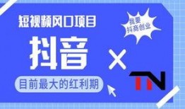 有新闻怎么爆料抖音,揭秘事件真相，全民参与见证正义