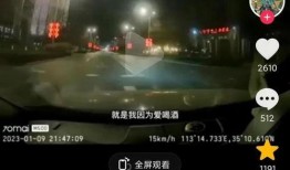 河南大瓜爆料视频,揭秘惊人内幕，真相令人震惊