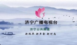 济宁公共频道在线观看,尽享精彩瞬间，在线观看新体验