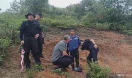 砀山事件爆料最新消息今天,真相逐步浮出水面，官方回应引关注