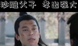 赘婿笑点爆料视频,爆笑视频背后的欢乐瞬间