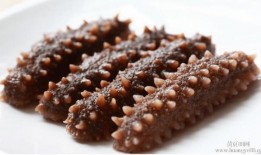 烟台海参爆料视频最新,揭秘海参行业潜规则与真相