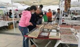 阿拉善展会爆料信息最新,绿色科技盛宴即将启幕