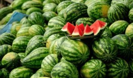 威海吃瓜网红有哪些名字