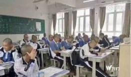 普宁职校爆料事件视频,真相与争议交织