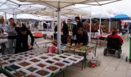 阿拉善展会爆料信息最新,绿色科技盛宴即将启幕