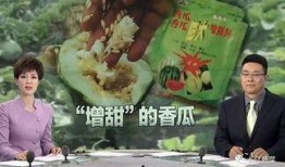 甜蜜素爆料视频,揭秘食品添加剂背后的真相