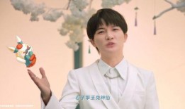 王鑫荣耀皮肤爆料视频